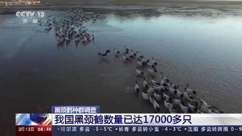 itb8888通博,湖南野生动物追踪,湖南卫星追踪器,湖南追踪器